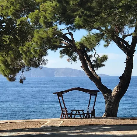 Artemis - Kusadasi Apartment *