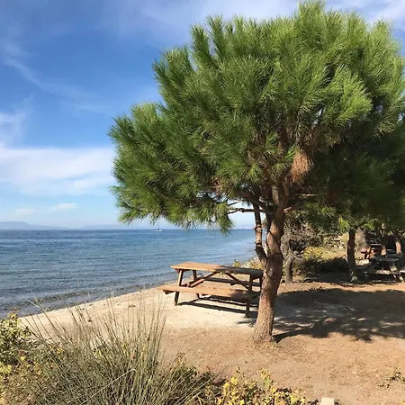 Artemis - Kusadasi Διαμέρισμα Soğucak